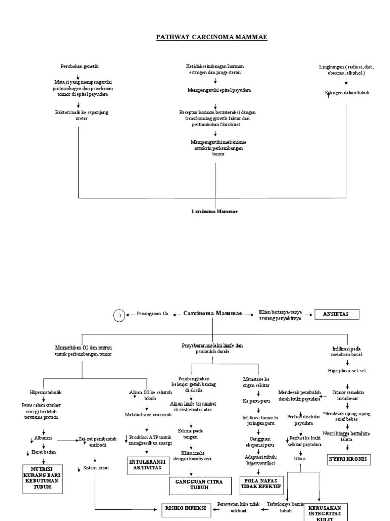 Patway CA Mammae