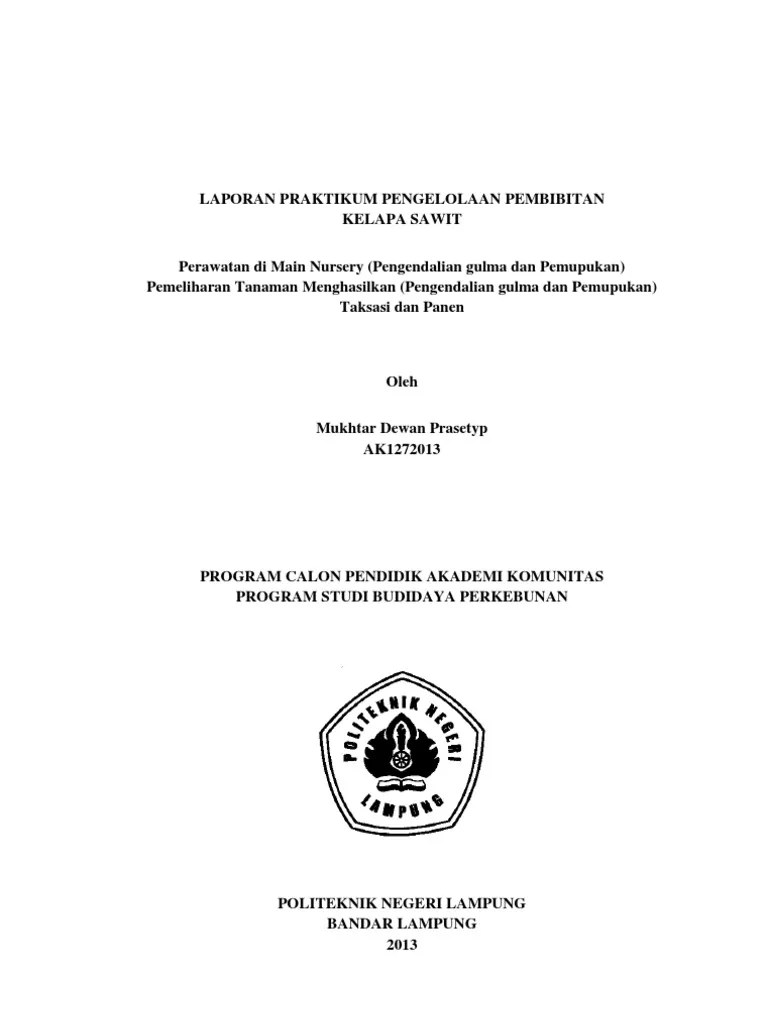 Pembibitan Kelapa Sawit Di Main Nursery Pdf Berbagai Permainan