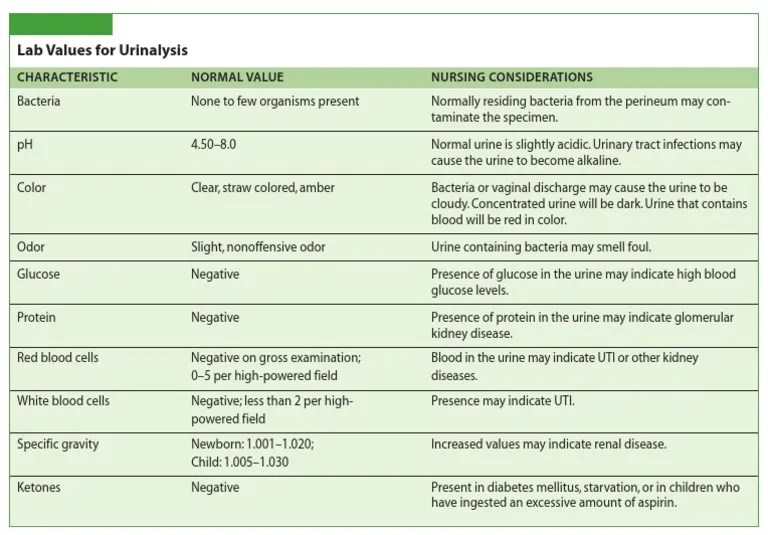 Normal UA Results Chart with nursing considerations for abnormals