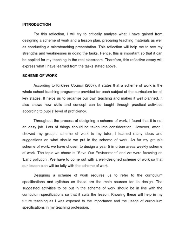 LTP Reflective Essay Lesson Plan Curriculum