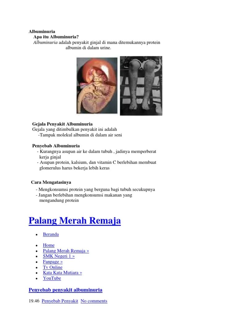 Albuminuria | PDF