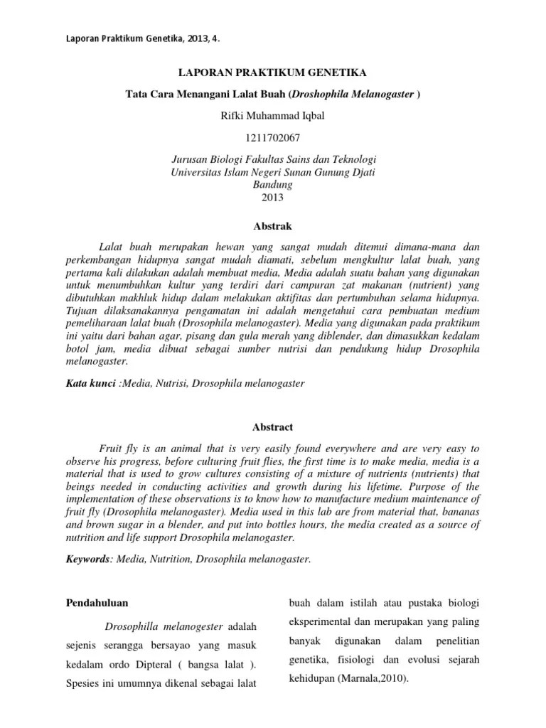 Laporan Praktikum