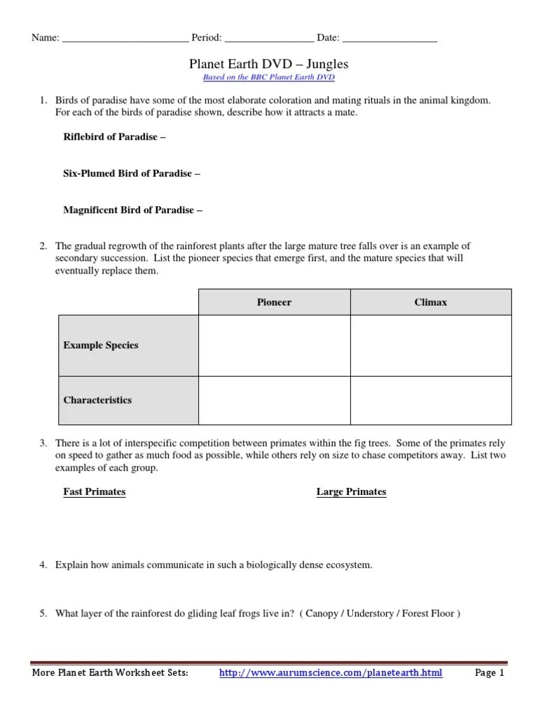 Earth Jungles Worksheet PDF PDF Rainforest Birds