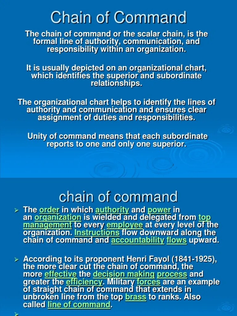 Chain of Command PDF Hierarchy Behavioural Sciences