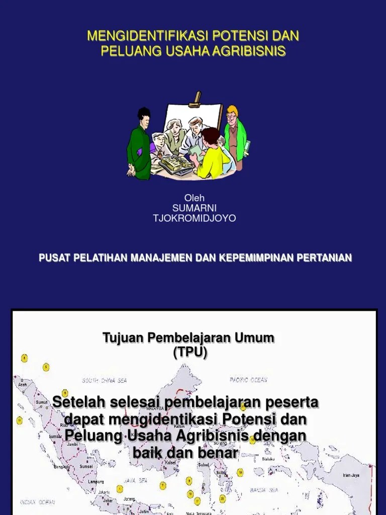 Identifikasi Potensi Dan Peluang Usahagribisnis | PDF