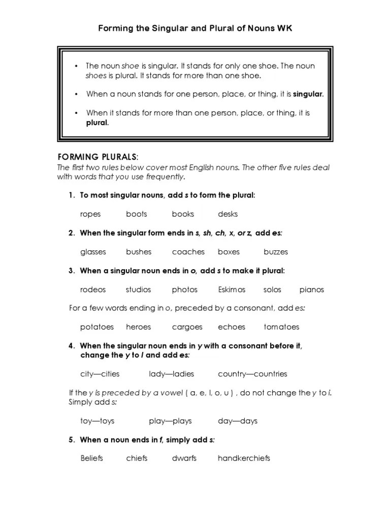 Singular & Plural Nouns Notes, Examples, and Exercises