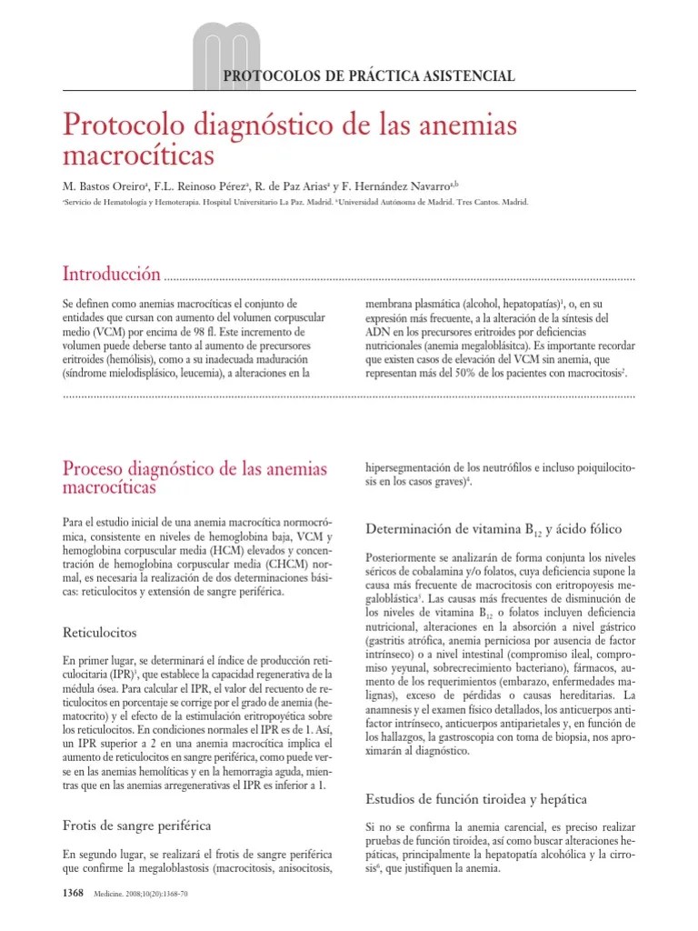 Protocolo DX Anemia Macrocitica PDF Hematología Medicina CLINICA