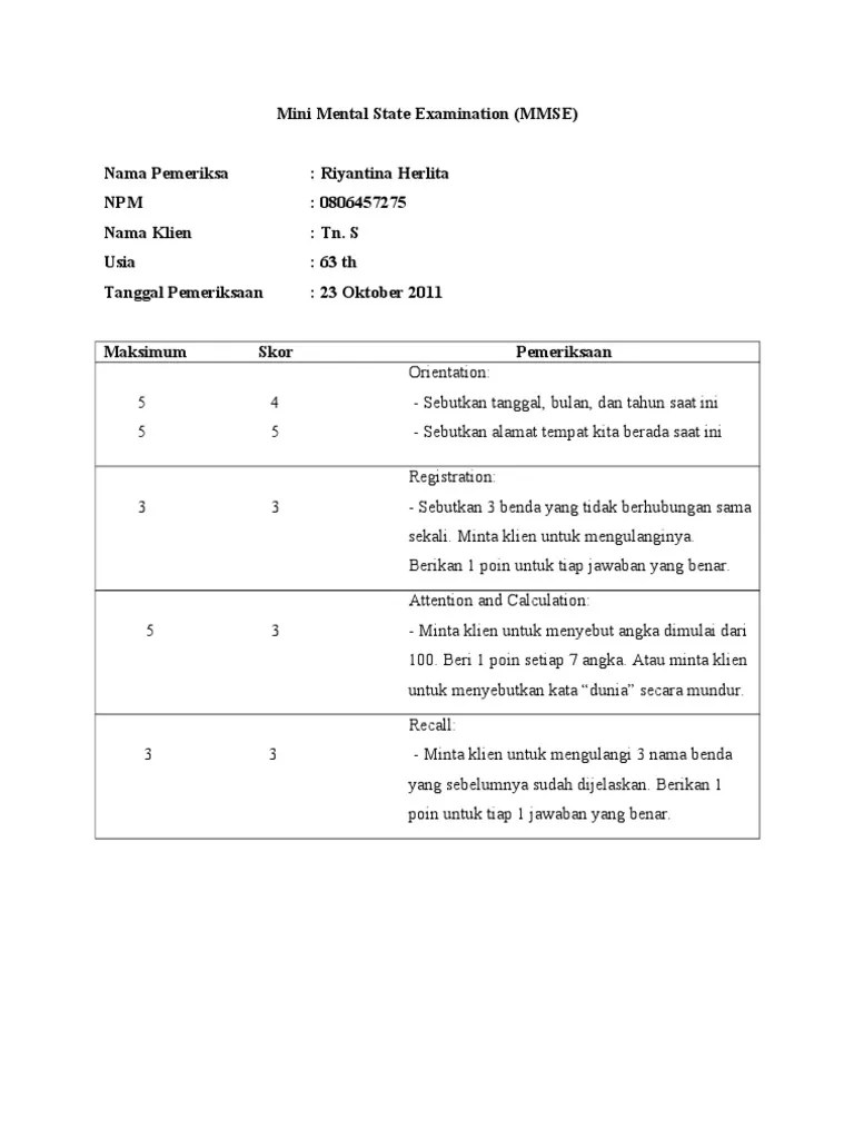 MMSE PDF