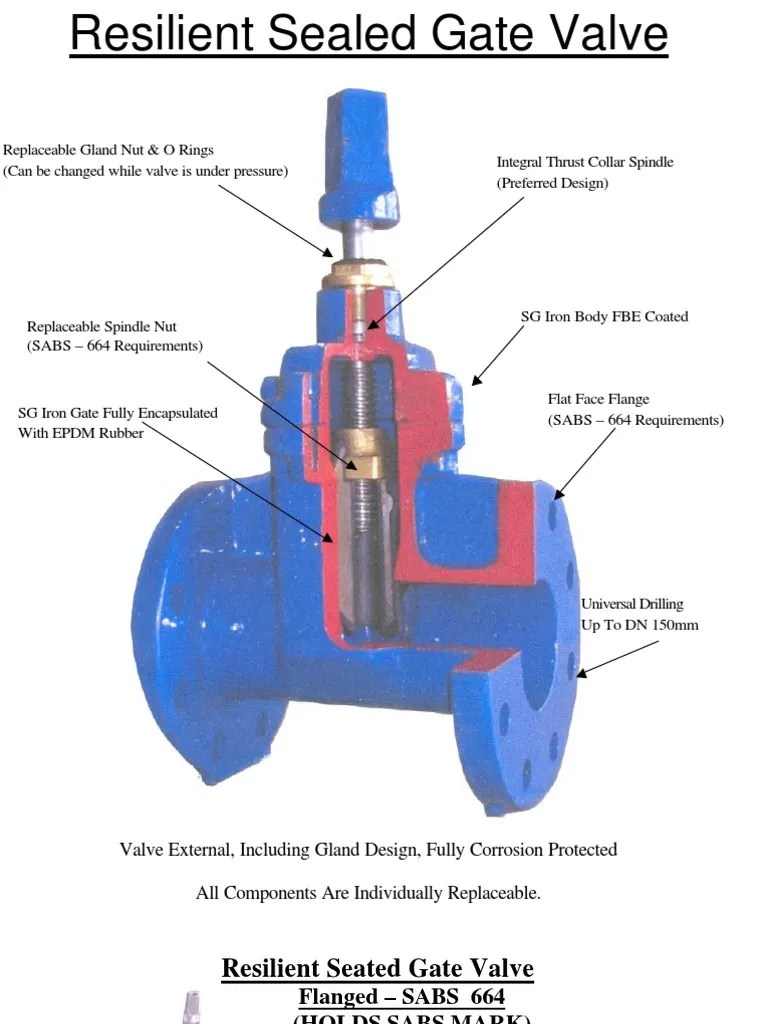 RSV Gate Valves