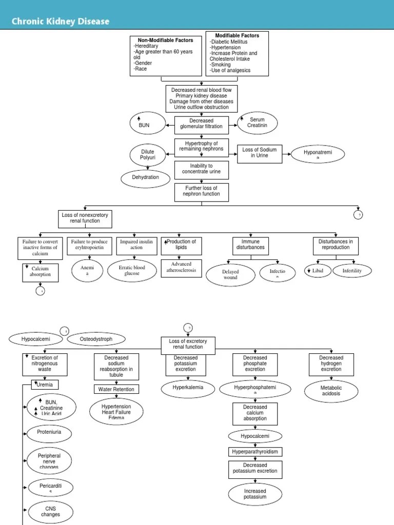 Pathophysiology Renal Failure | PDF