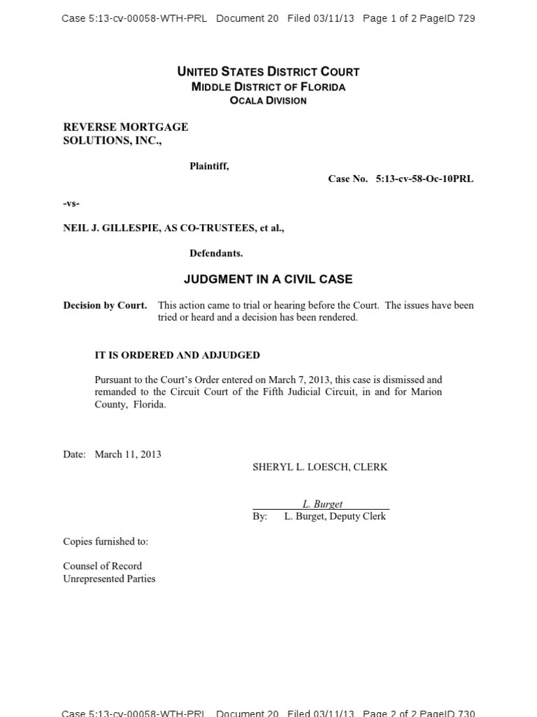 Doc 20. 031113, Judgment in a Civil Case Lawsuit United States