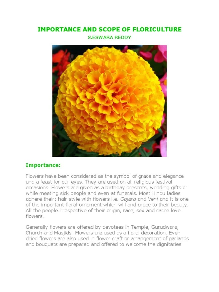 Importance and Scope of Floriculture Flowers Rose