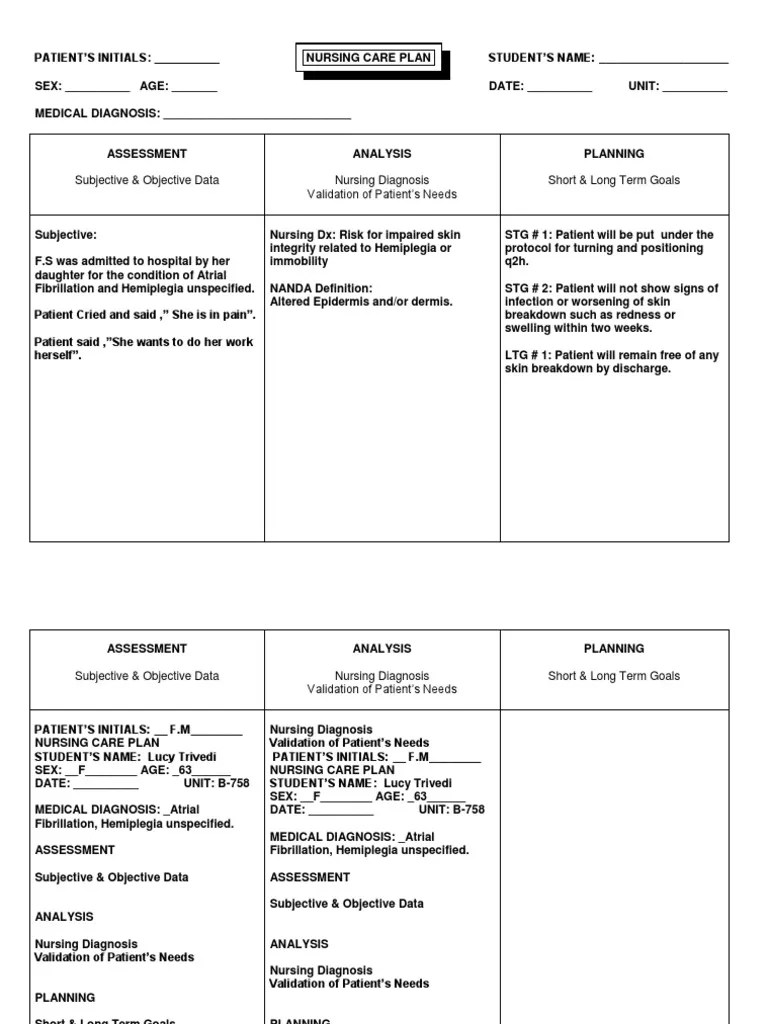 Care Plan Template 2 | PDF | Wellness | Science &amp; Mathematics