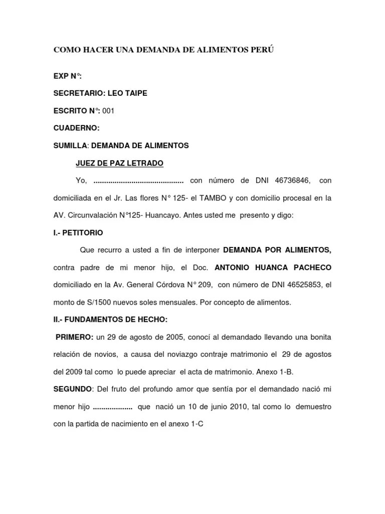COMO HACER UNA DEMANDA DE ALIMENTOS PERÚ Divorcio Demanda judicial