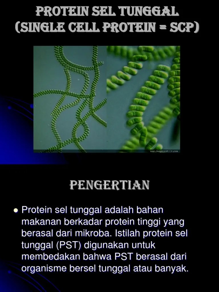 Ade Novia Anggraeni | PDF