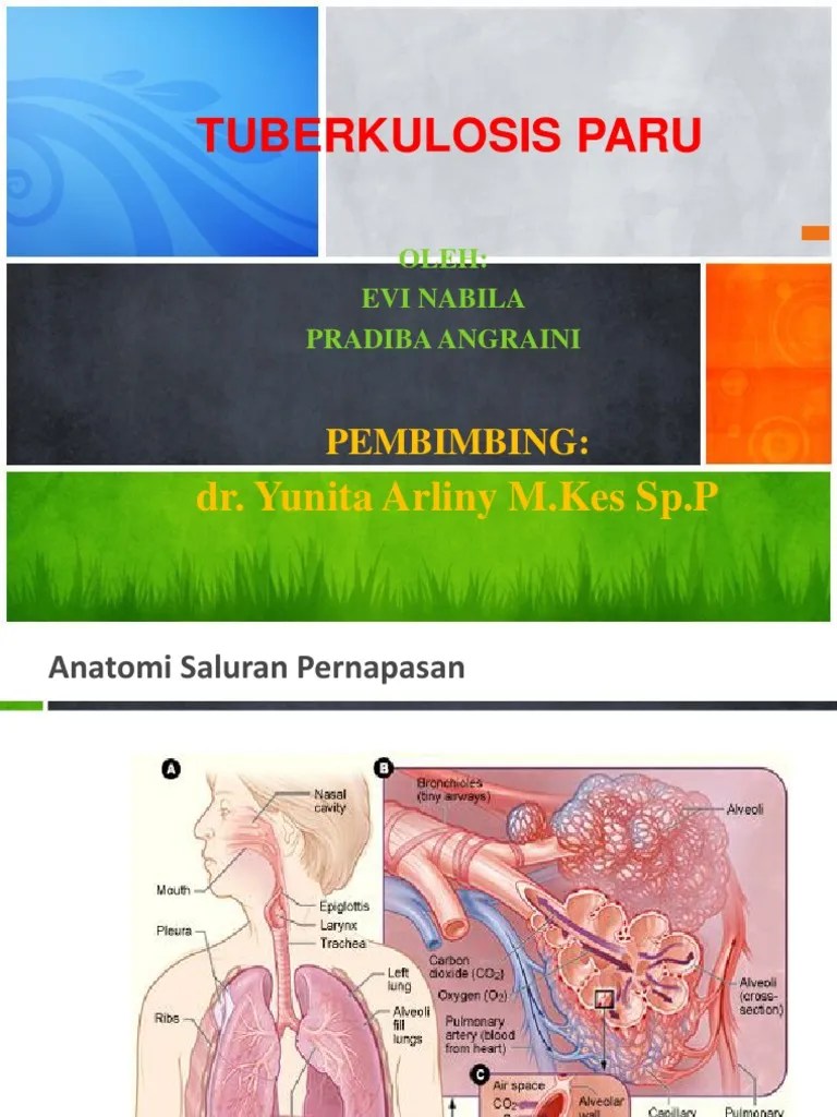 Ppt Referat Pulmonologi TB Paru