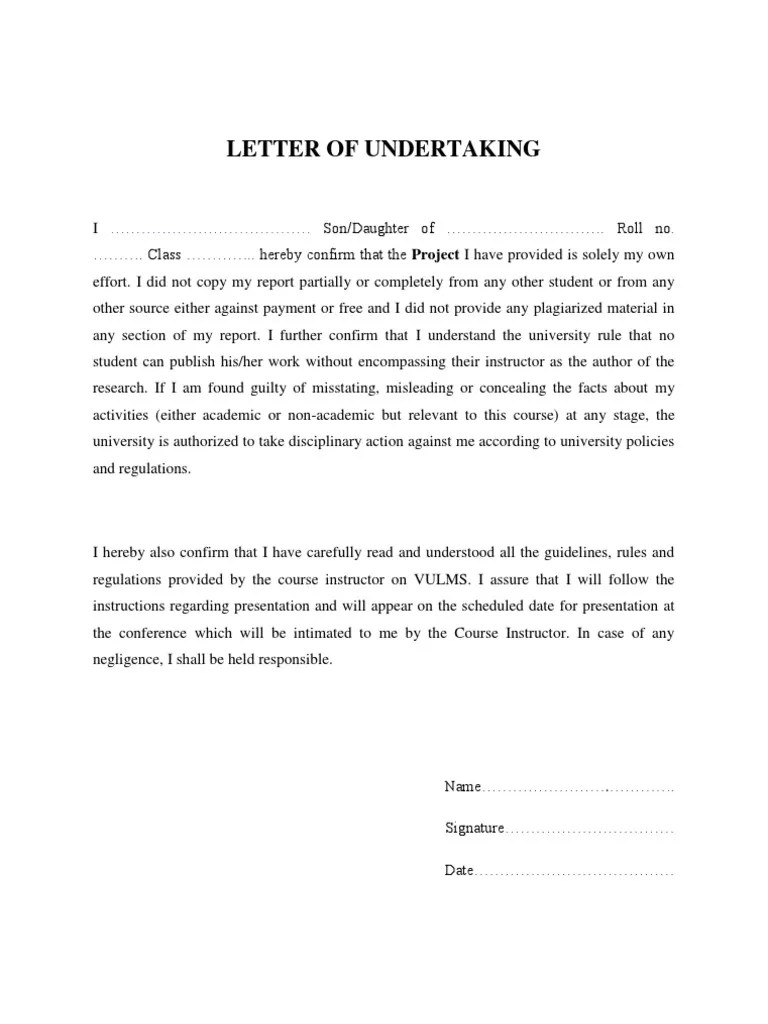 Letter Of Undertaking Government Politics