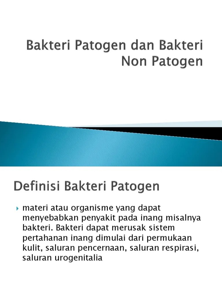 Bakteri Patogen Dan Non Patogen | PDF