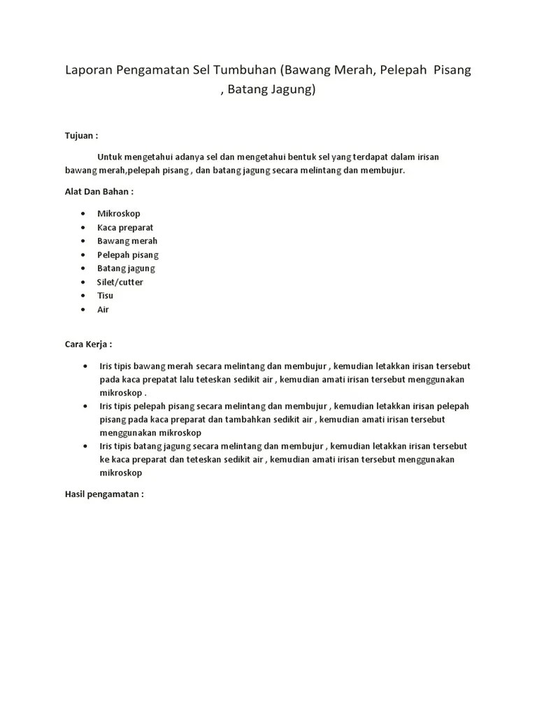 Contoh Laporan Pengamatan Tumbuhan