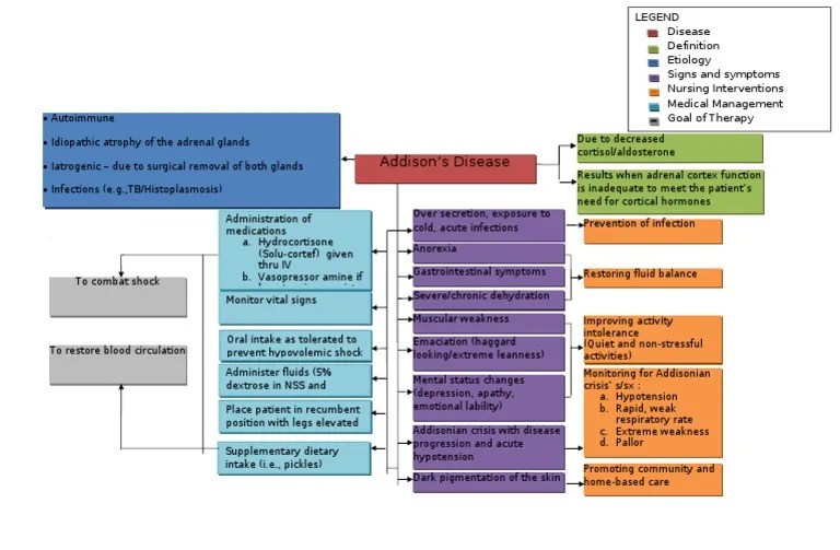 Addison's Disease CONCEPT MAP