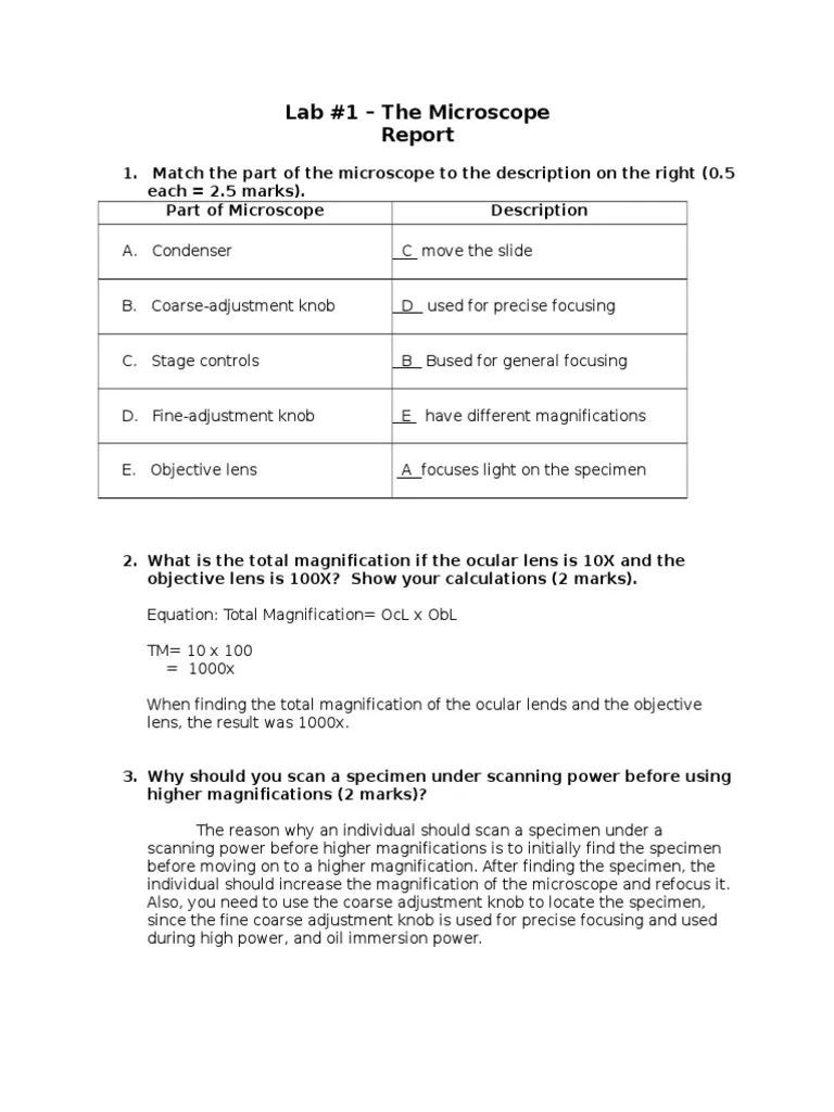Microscope Lab Report Laboratory Techniques Glass Engineering And