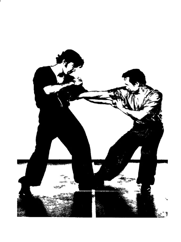 Basic Hung Gar Gung Fu (Shaolin)