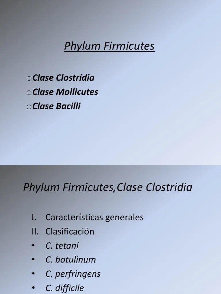 Phylum Firmicutes.ppt Foodborne Illness Microbiology