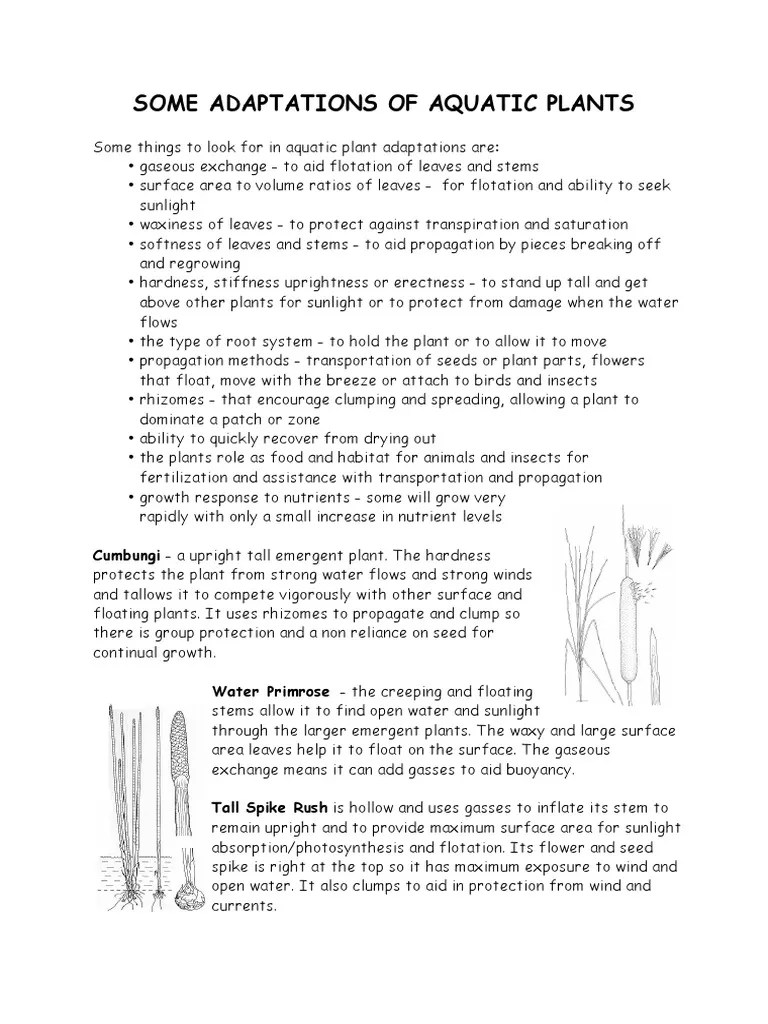 Aquatic Plants Adapt(1) Plants Seed