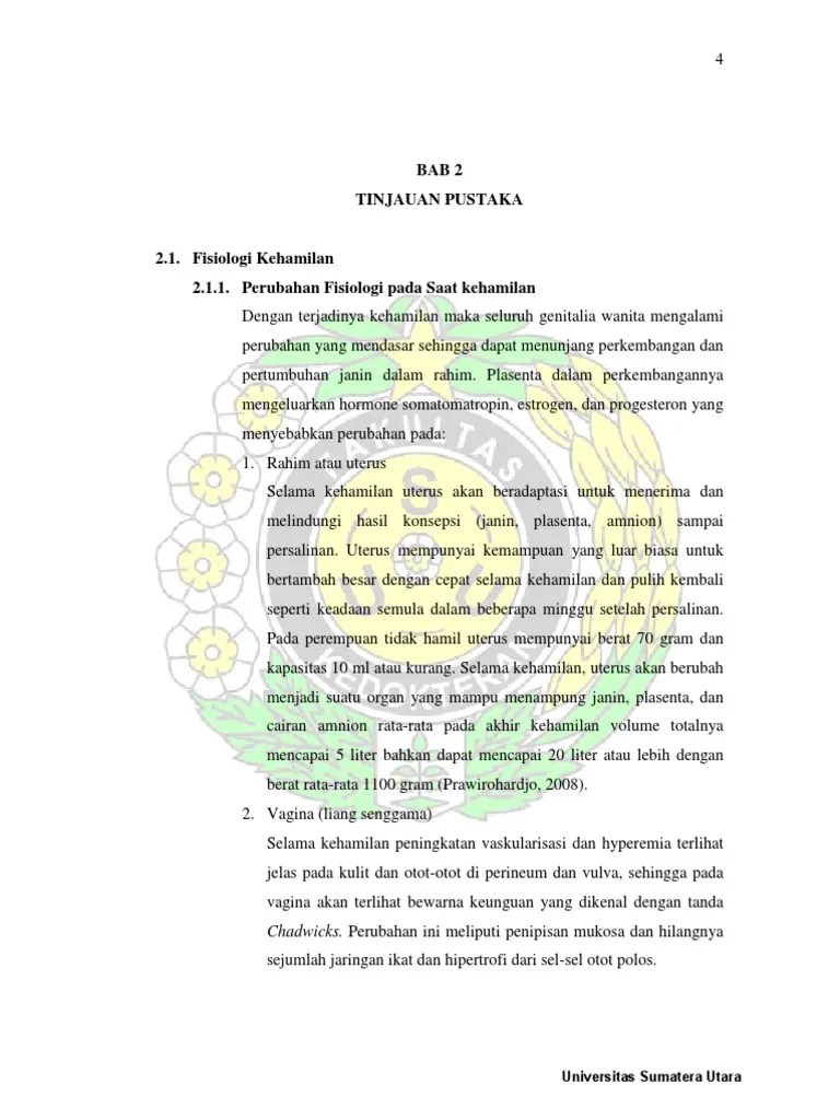 Fisiologi Kehamilan PDF Usu