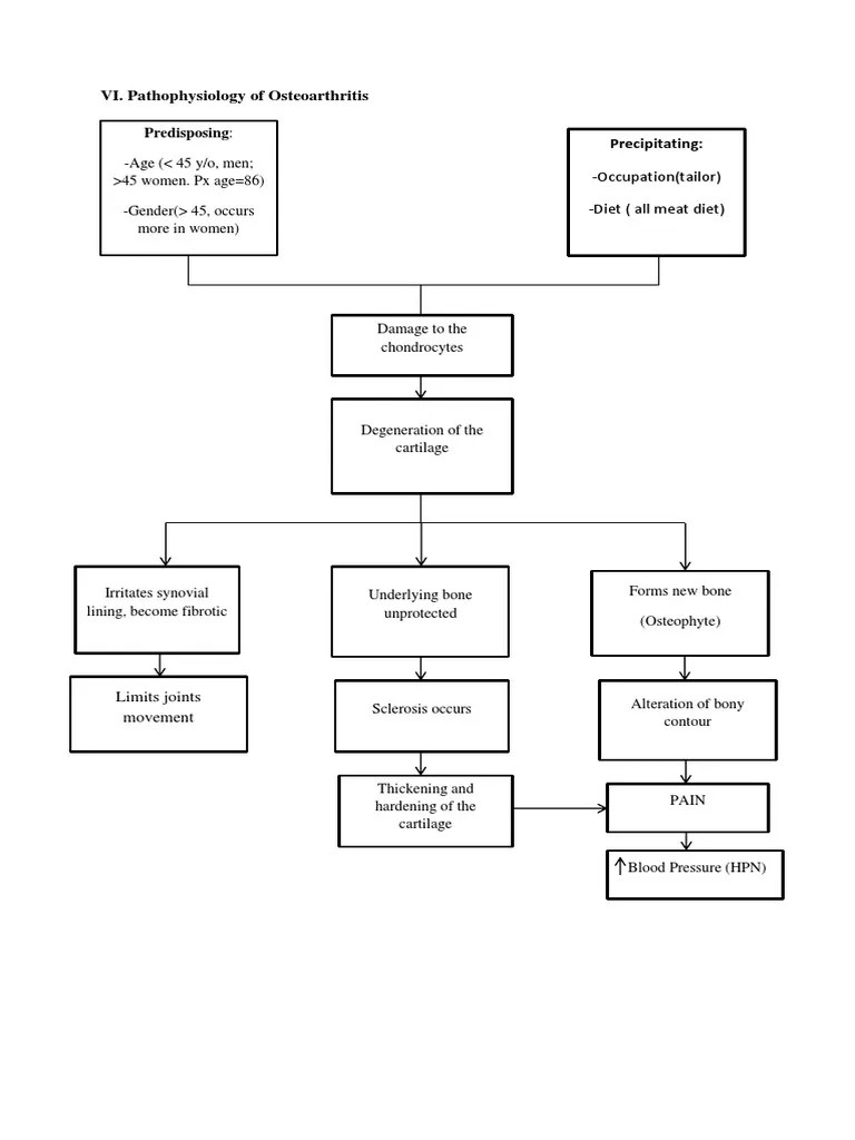 Pathophysiology of Osteoarthritis