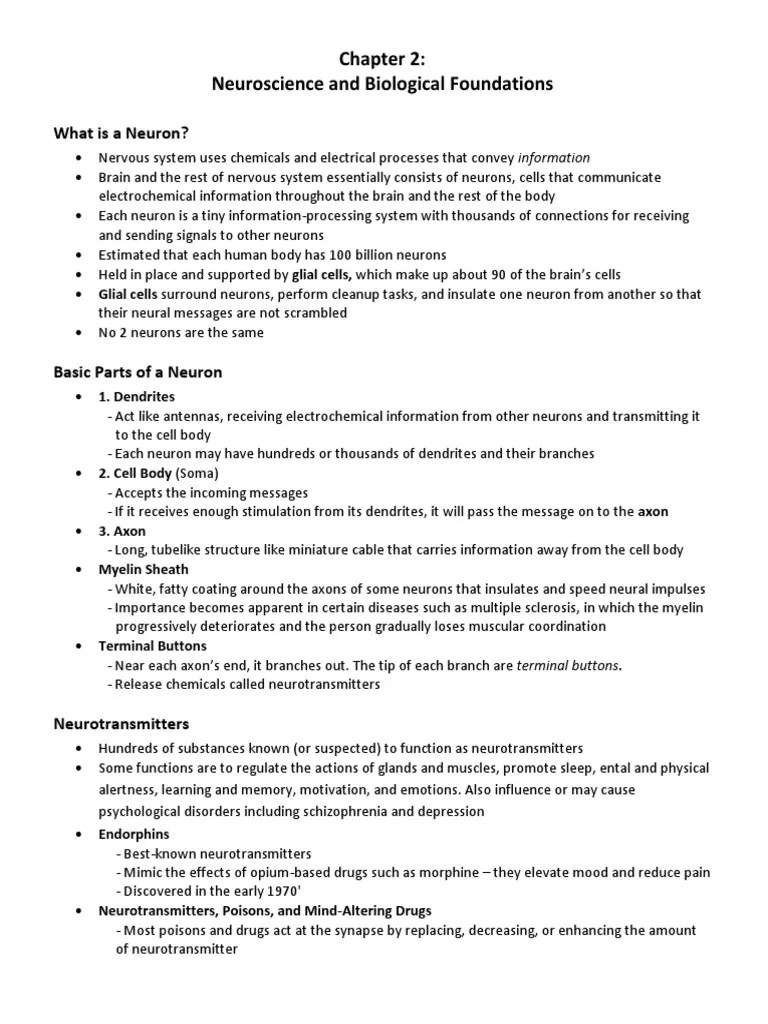AP Psychology Chapter 2 Notes Neuron Action Potential
