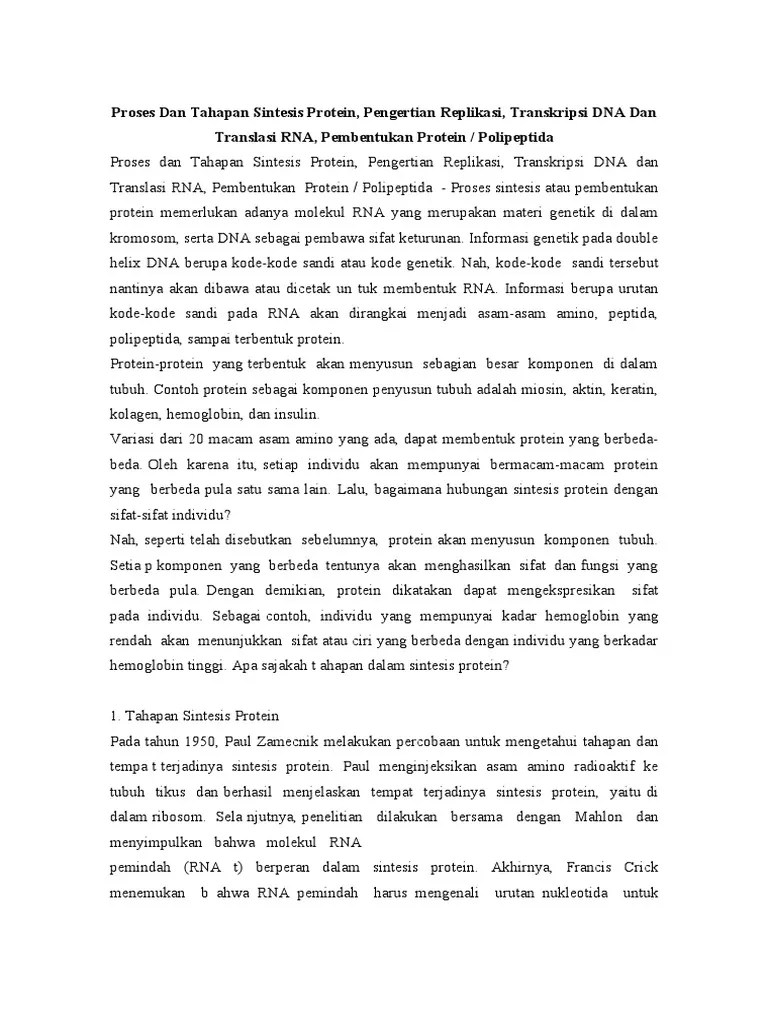 Proses Dan Tahapan Sintesis Protein