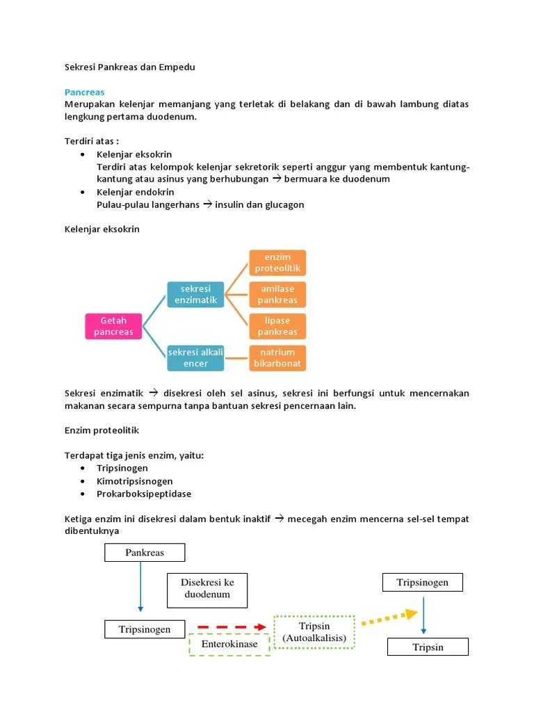 Sekresi Pankreas Dan Empedu | PDF