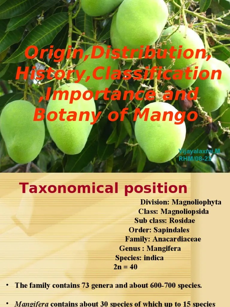 Origin, Distribution, History, Classification, Importance and Botany of