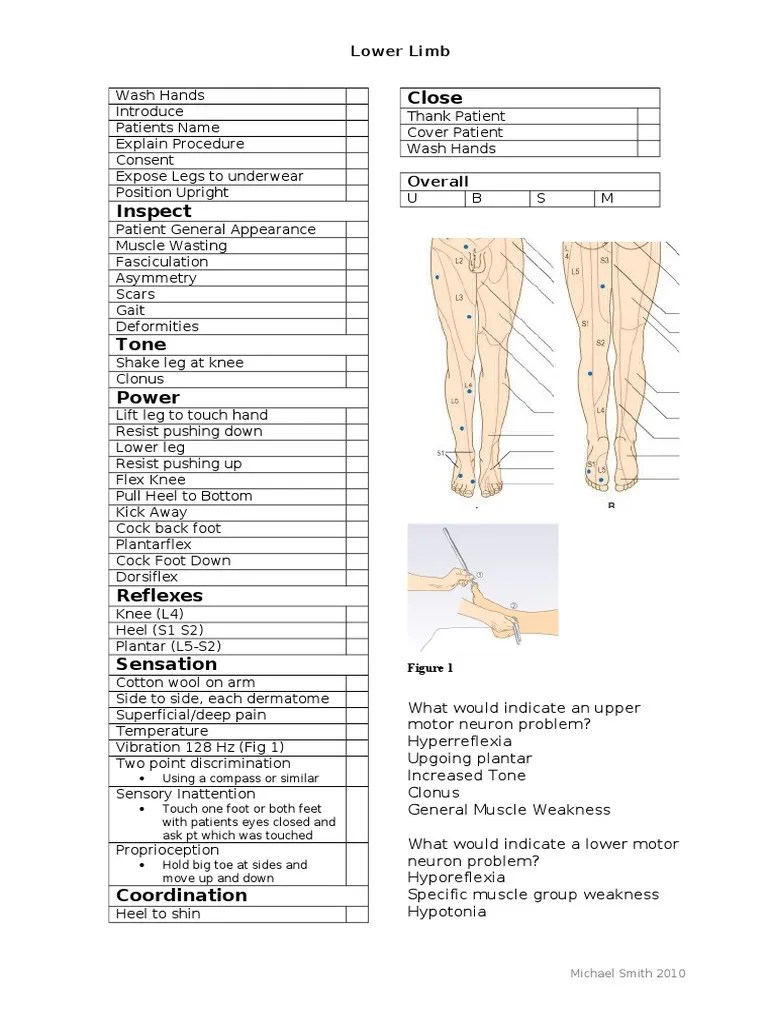 31187032-Lower-Limb-OSCE-Exam-Checklist.doc