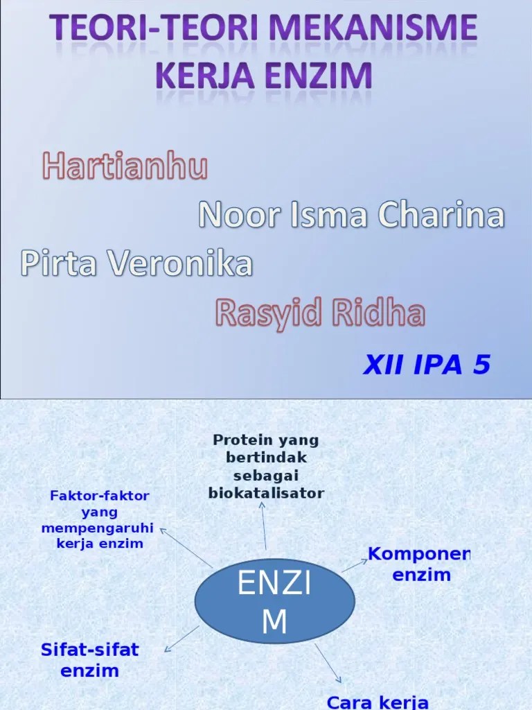 Teoriteori Mekanisme Kerja Enzim