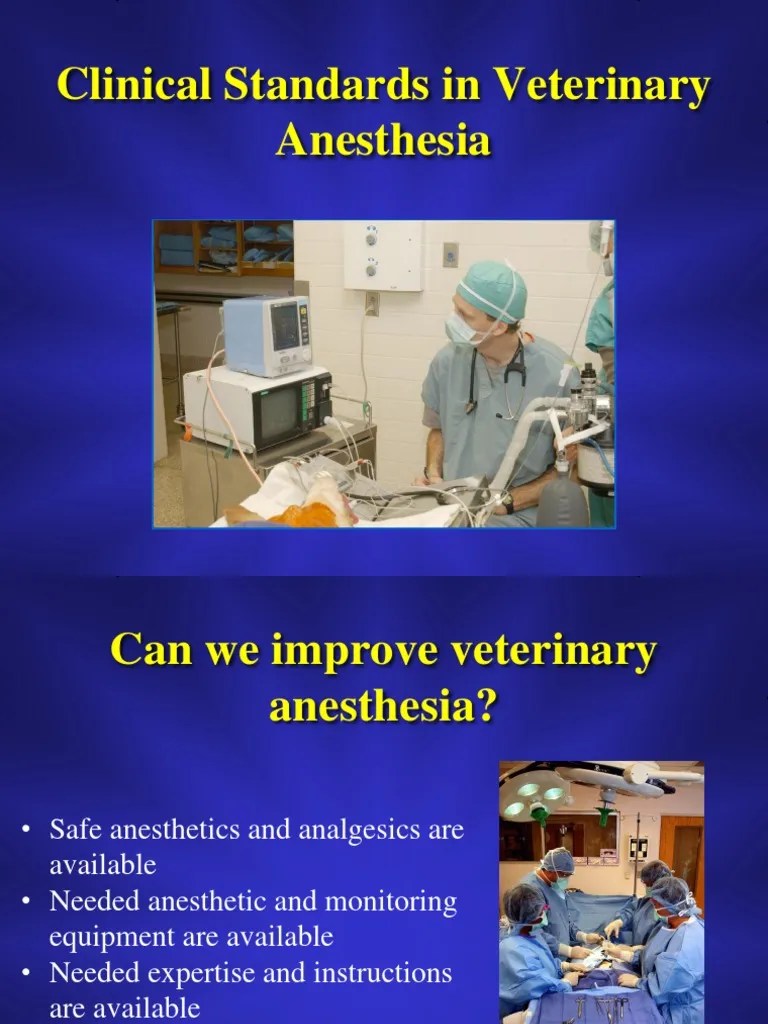 1 Guidelines for Anesthetic Management in Clinical Practice