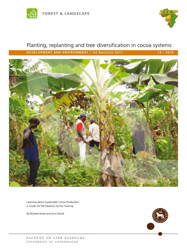 Cocoa Farming PDF Grafting Plant Nursery