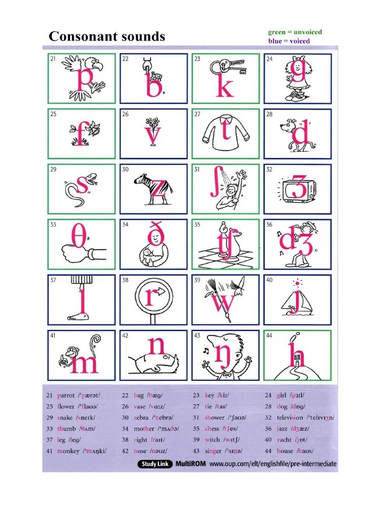 International Phonetic Alphabet (IPA) symbol Keyboard
