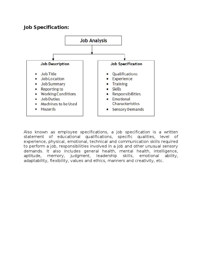 Job Specification Employment Human Resource Management