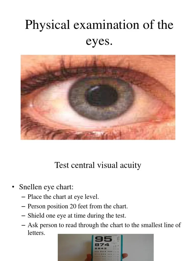 Physical Examination of the Eyes Visual Acuity Human Eye