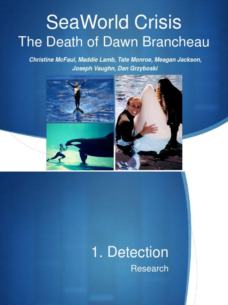 SeaWorld's Crisis Dawn Brancheau's Death PDF Sea World