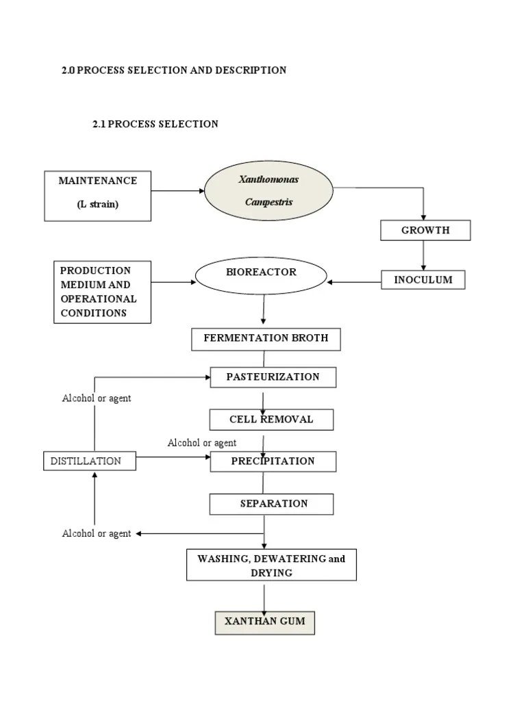 Xanthan Gum Process | Chemistry | Nature