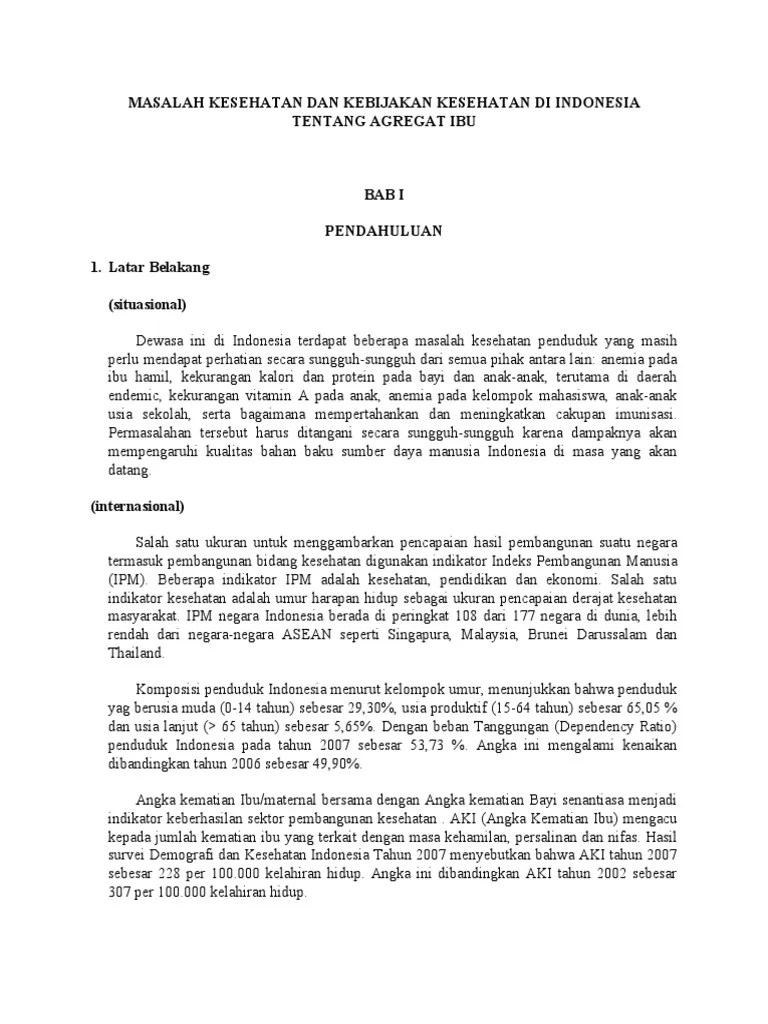 Masalah Kesehatan Dan Kebijakan Kesehatan Di Indonesia Tentang Agregat Ibu