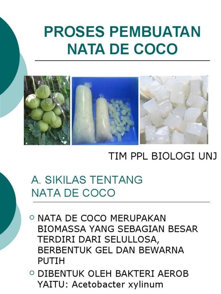 Proses Pembuatan Nata de Coco