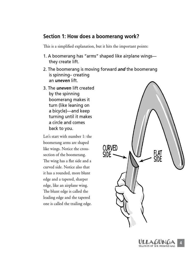 How Does a Boomerang Work Lift (Force) Rotation