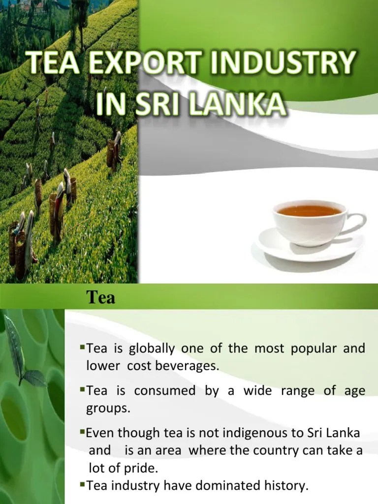 Tea Export Industry In Sri Lanka Tea Economics