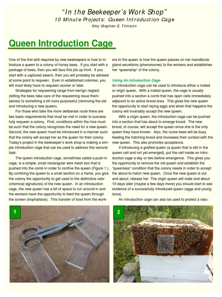 Queen Introduction Cage 20120715 Beekeeping Honey Bee