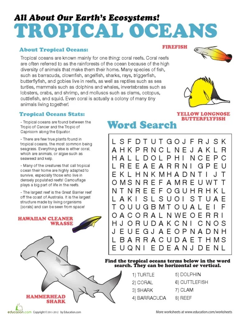 Tropical Oceans Word Search Coral Reef Coral