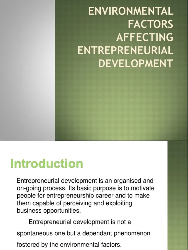 Environmental Factors Affecting Entrepreneurial Development PDF